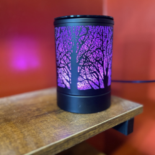 LMWaxWarmer WiFi Camera